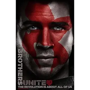 HUNGER GAMES: MOCKINGJAY PART 2 - 13.25"x20" Original Promo Movie Poster SDCC 2015 GALE