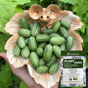 Mini watermelon seeds, non-GMO small watermelon seeds, mini thumb-sized watermelon seeds, suitable for indoor and outdoor garden planting.