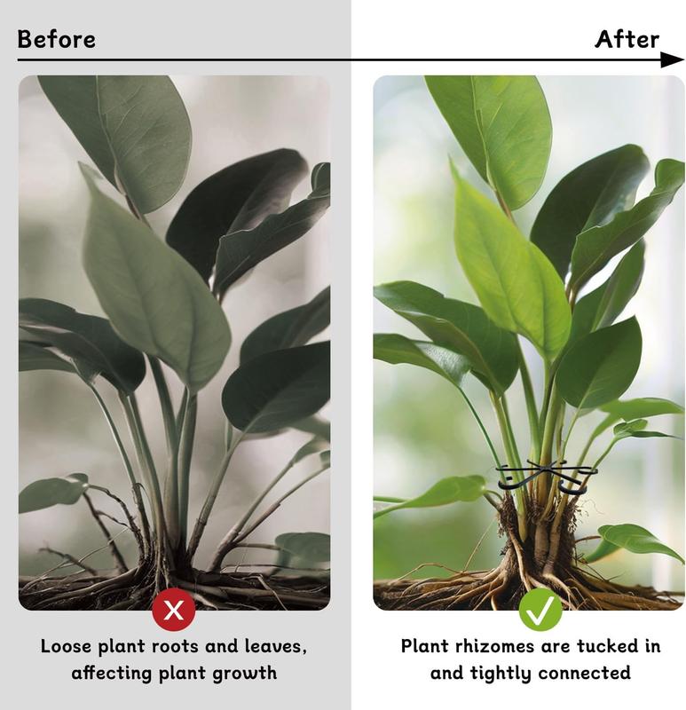 4 Pcs Plant Stem Support Reusable Plant Growth Accessories Different Sizes Climbing Plant Stakes for Indoor Plants to Decorative Black