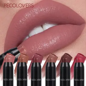 6pcs/set Lipstick Pen, Waterproof & Long-lasting, Highly Pigmented, Creamy Texture, Suitable for Daily Use, Moisturizing Lip Makeup for Everyday & Formal Events