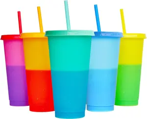 Color Changing Cups, 10 Pack 24oz Plastic Tumblers, Reusable Iced Coffee & Smoothie Cups with Lids and Straws for Parties and Travel#Summervibes