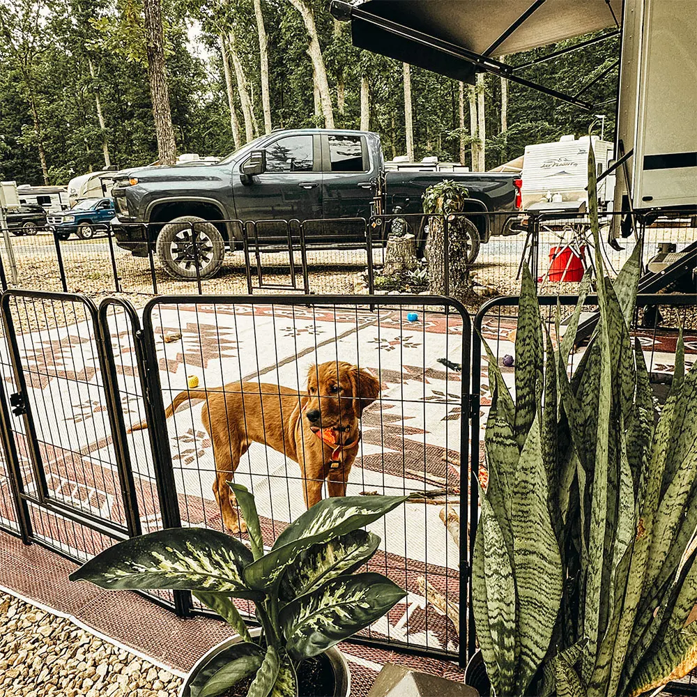 FXW Instant Dog Playpen for RV Camping, Quick Setup Outdoor Dog Fence with Hinged Panels, Heavy-Duty & Flexible, 32" H, 32 Panels for Small & Medium Dogs