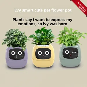 Smart automatic watering pot for lazy people, made of plastic resin, round design, USB rechargeable, suitable for indoor plants
