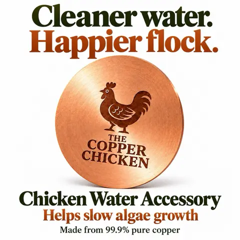 Natural Algae-Slowing Remedy - Pure Copper Disc for Poultry Waterers - The Original Copper Chicken - Chicken Coop Accessory