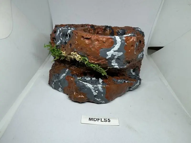 Reptile Magnetic Ledge With 5 Feeder Cups Small Desert