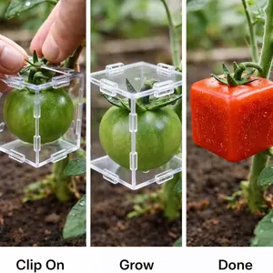 Square Vegetable Shaping Mold, Fruit Growth Forming Tool for Unique Pumpkins Tomatoes, Plant Shape Maker for Garden Yard Patio, Reusable Gardening Gift for Adults