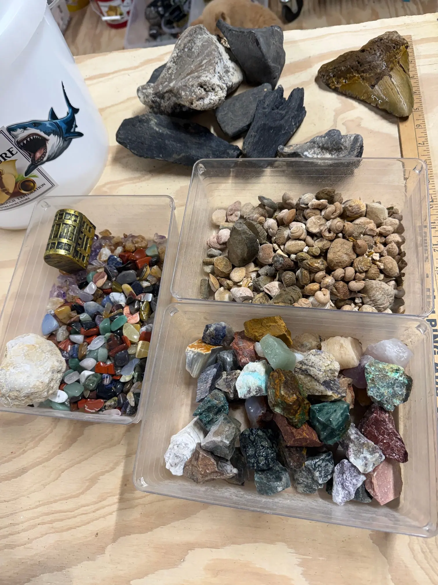 MEG AMAZING 36 NATURAL CRYSTAL AND FOSSIL MINING BUCKET
