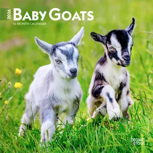 Baby Goats | 2026 7 x 14 Inch (Hanging) Monthly Mini Wall Calendar | BrownTrout | Domestic Animals