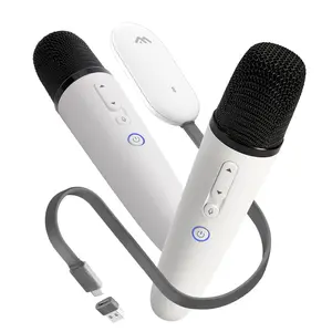 Karaoke Microphone for Tesla Model Y and all other models, works as Caraoke Mic