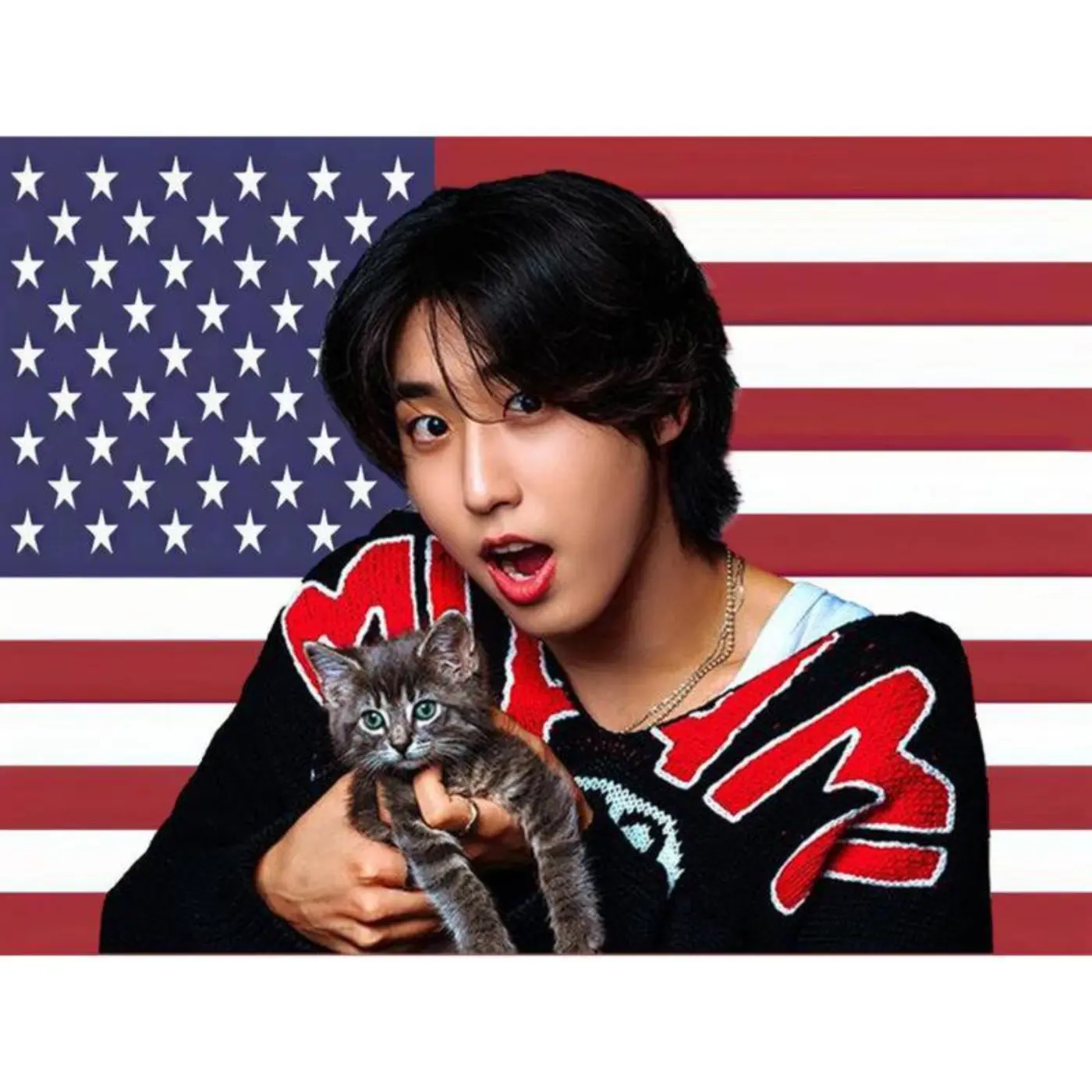 SKZ Han Kitten American Flag K-Pop Tapestry, K-Pop Merchandise, Fan Gifts, Wall Hanging Room Decor, Fan Art father's Day Gifts, Gifts Boyfriend, Gifts for Girl Adults, Gifts Under 100 Dollars,Cheap Stuff for  Room Decorative Tree