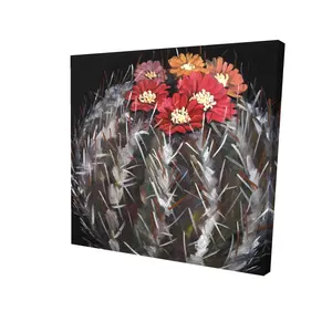 Begin Home Decor 2080-2424-FL321 24 x 24 in. Mammillaria Cactus in Bloom - Black Canvas Floral Decor