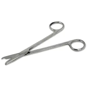 Scissors, 5.5" Straight