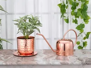 Glytterati - Decorative Watering Can and Planter with Plate