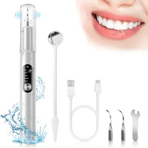 Plaque Remover for Teeth, 5-Mode Electric Tartar Remover with LED Light, Rechargeable Teeth Cleaning Kit, Dental Tools Set with 2 Replaceable Heads for Home Use