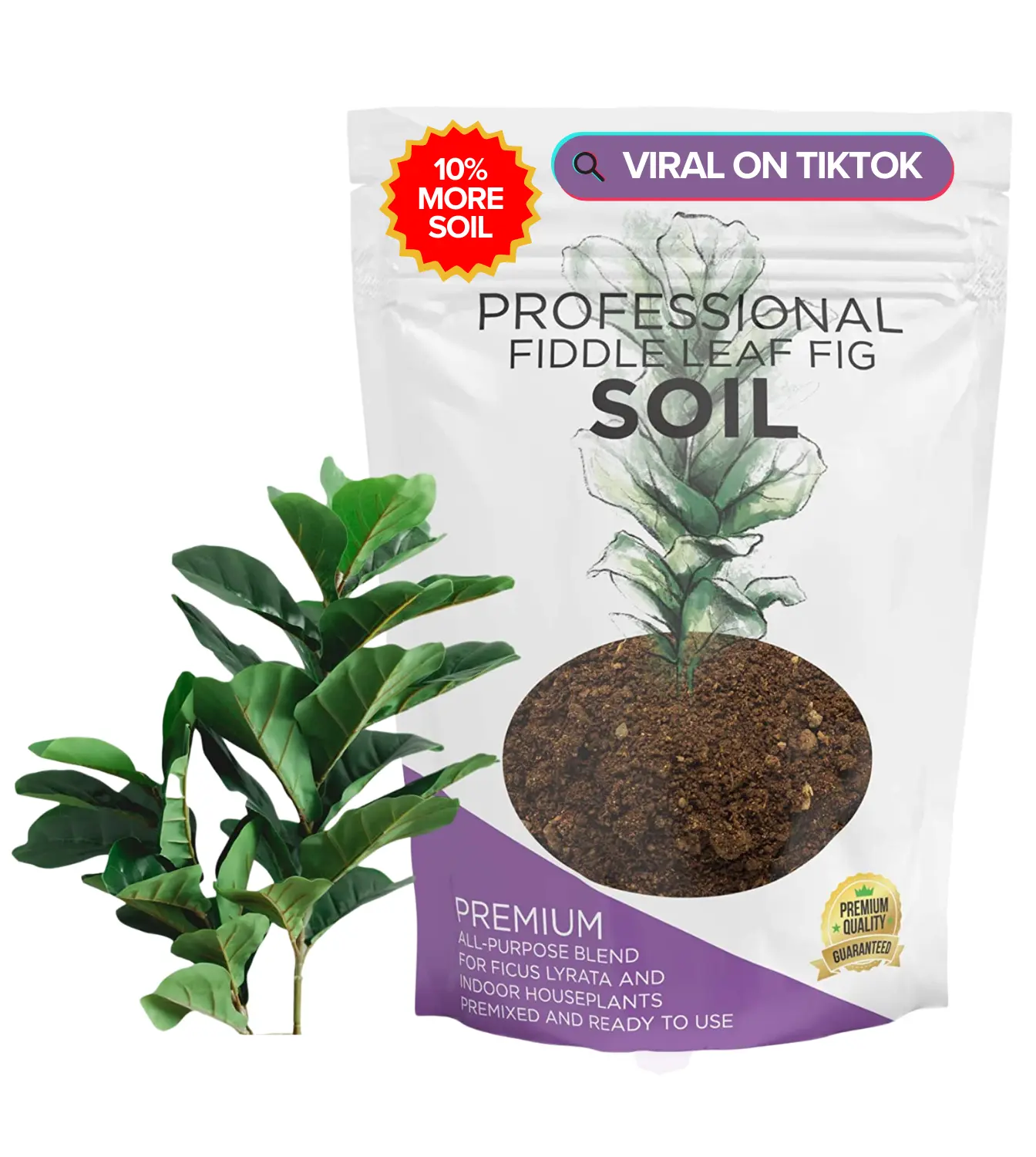 Premium Fiddle Leaf Fig and House Plant Soil All Purpose Blend | Pre-mixed 2.2 and 8.2 Dry Quarts