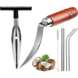 Coconut Opener Tools, Set of Stainless Steel Coconut Puncher with Straws, Brush, Coconut Meat Remover with Wood Handle, For Green & Young Coconut