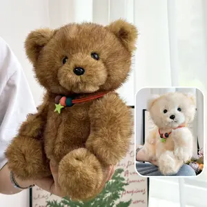 Bear Plush