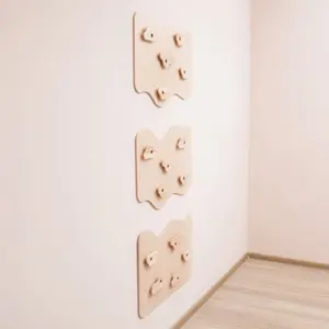 Home Climbing Wall