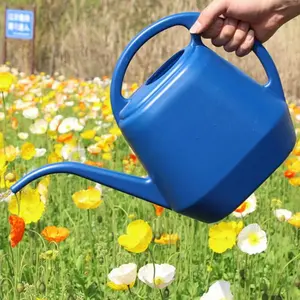 Watering Can, Indoor & Outdoor Plant Watering Can, Plant Watering Equipment, Watering Tool for Home Garden
