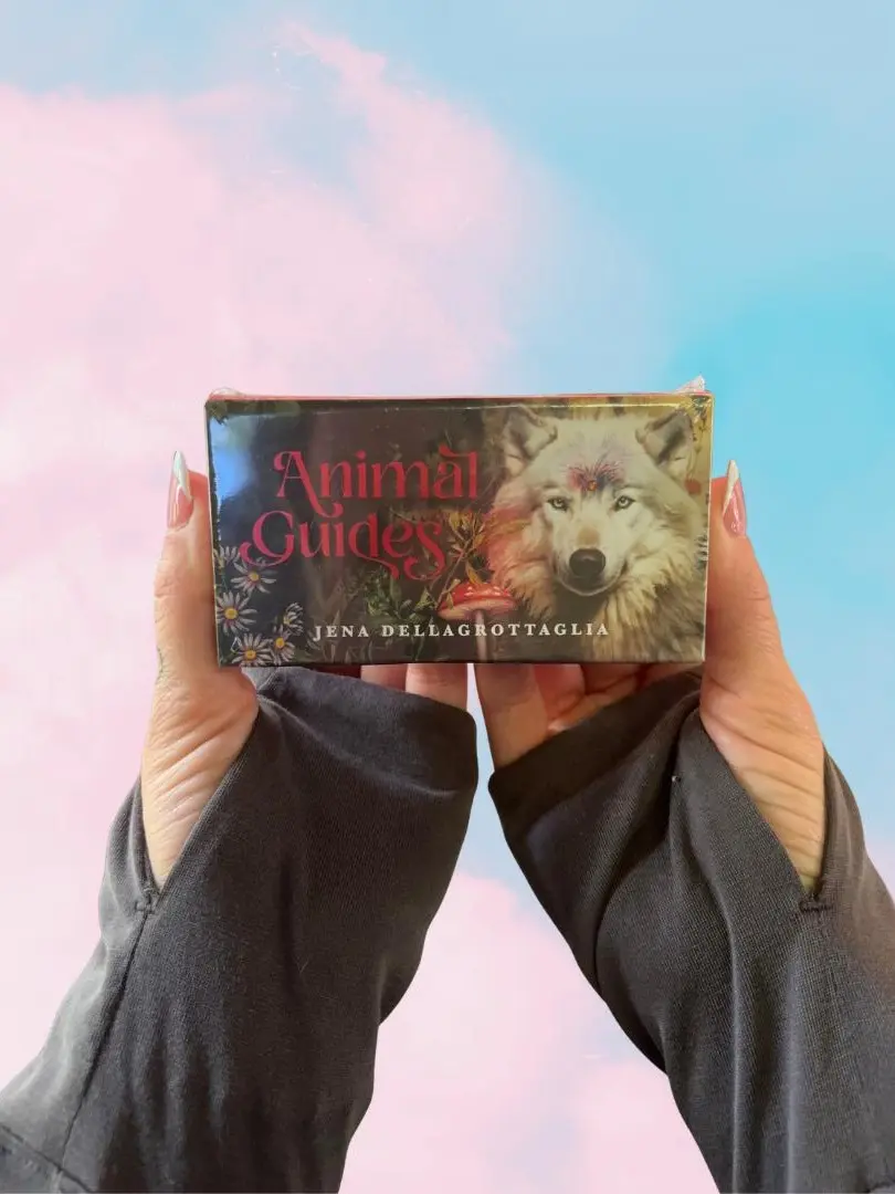 Animal Guides (Rockpool Mini Cards)