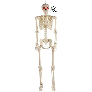 Deluxe Flaming Light Up Eyes & Talking Skeleton Decoration