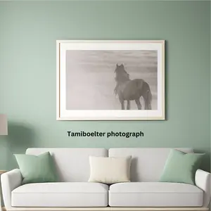 Desert and Horse Design Wall Art Frame for Home Decor - Hanging Ornaments and Hangable Decoration