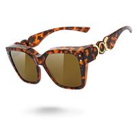 P1 Tortoise Frame/Brown Lens