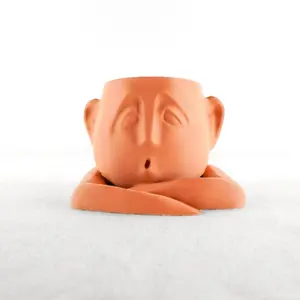 Shady Air Head Planter - Perfect for Home and Garden Use