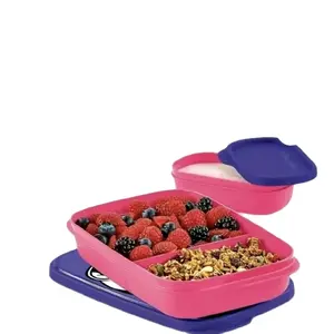 Tupperware  Slim Lunch Set with Pink Lid, Clear Container, and Grain Snack in Pink Platter - Tableware Stylish Aesthetic