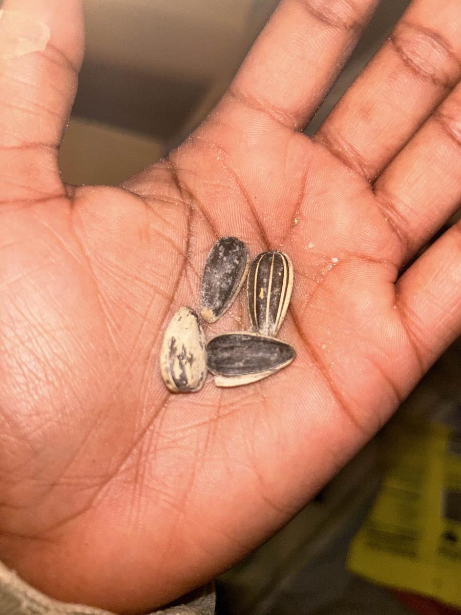 Item: 4.0 OZ Resealable Bags