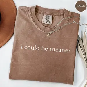 Comfort Colors I Could Be Meaner T-Shirt, Funny Sarcastic Quote Tee, Unisex Soft Cotton Crewneck Shirt for Men and Women, Trendy Gift for Him or Her Gift For Women