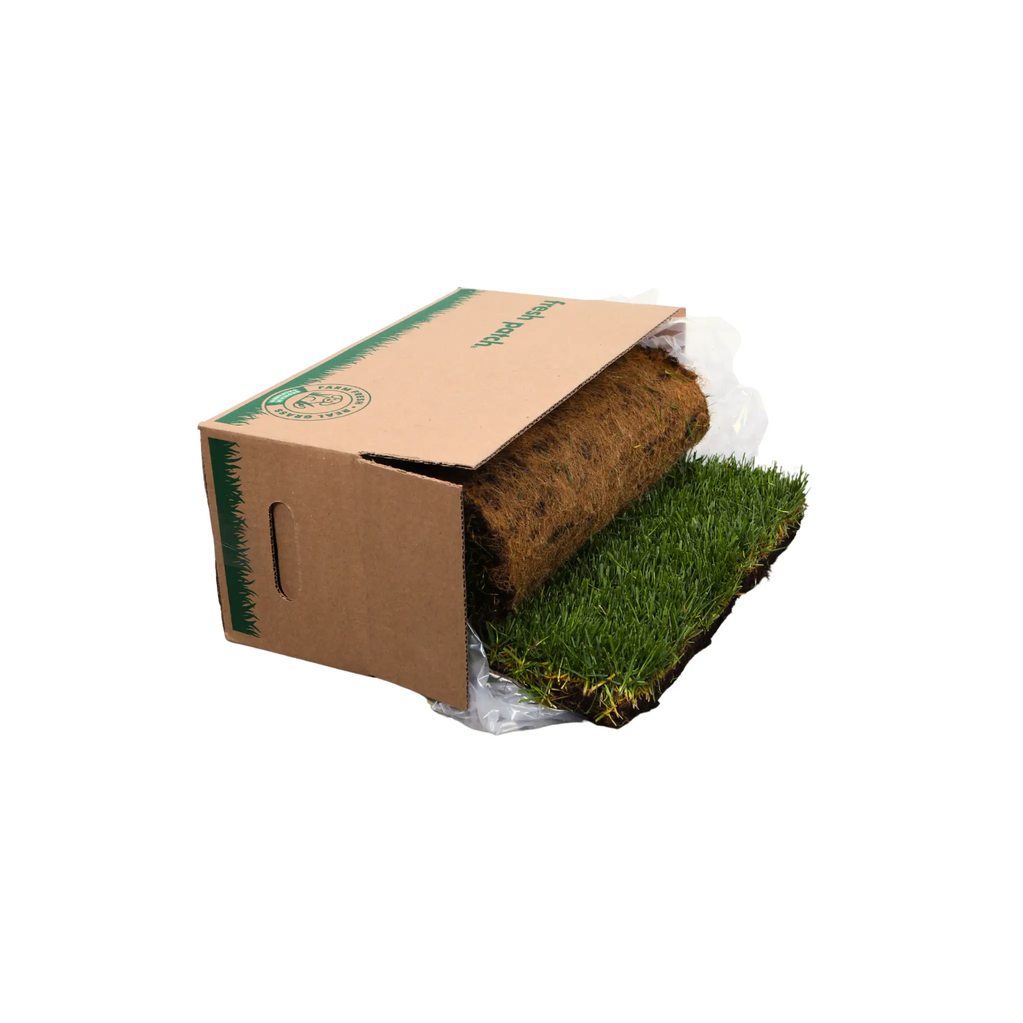 Fresh Patch Standard (Rolled)