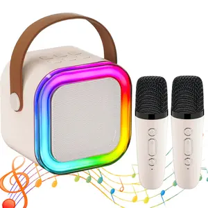 Portable Wireless Karaoke Machine with Two Microphones, HiFi Stereo Sound Effect, RGB Lights, Outdoor Ktv Speaker, Perfect for Parties