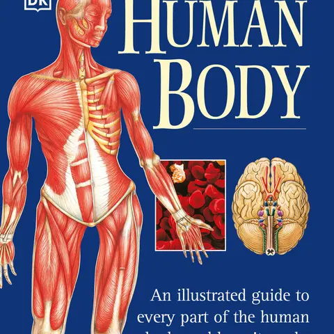 Used Book - The Human Body: An Illustrated Anatomy & Disorders Medical Atlas by Martyn Page, DK Publishing (Dorling Kindersley), Soft Cover, English, 1.57 lbs, Full-Color Illustrations, Detailed Explanations, Common Disorders, Human Life Cycle, 448 Pages