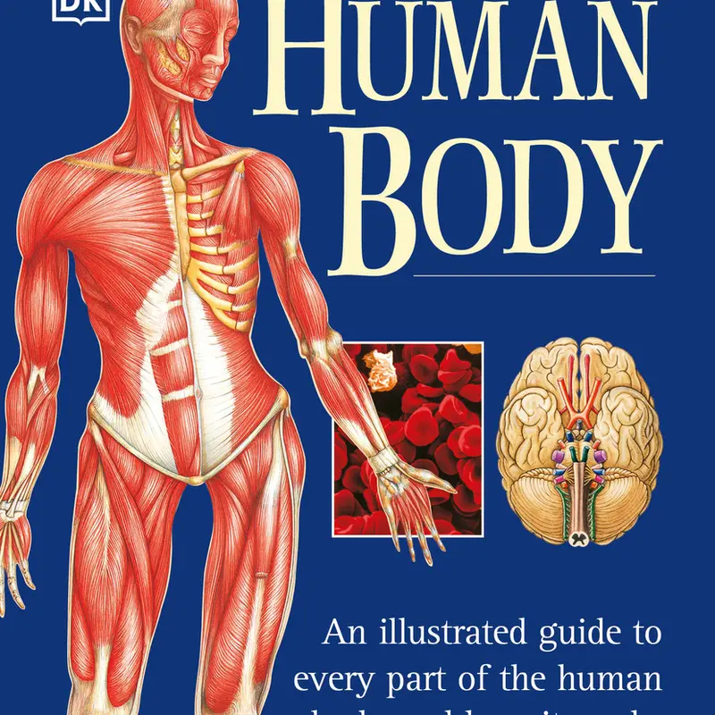 Used Book - The Human Body: An Illustrated Anatomy & Disorders Medical Atlas by Martyn Page, DK Publishing (Dorling Kindersley), Soft Cover, English, 1.57 lbs, Full-Color Illustrations, Detailed Explanations, Common Disorders, Human Life Cycle, 448 Pages
