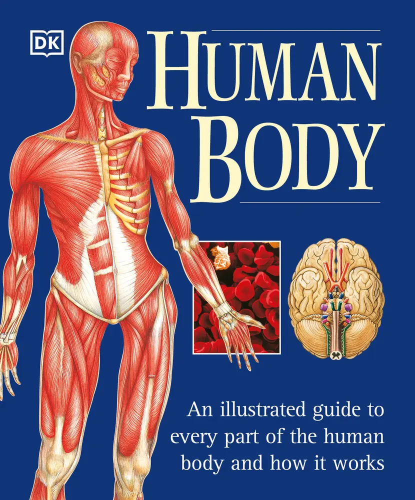 USED Book - The Human Body: An Illustrated Guide to Every Part of the Human Body and How It Works by Page, Martyn (Paperback) - english