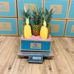 Premium Tropical Golden Pineapple Box