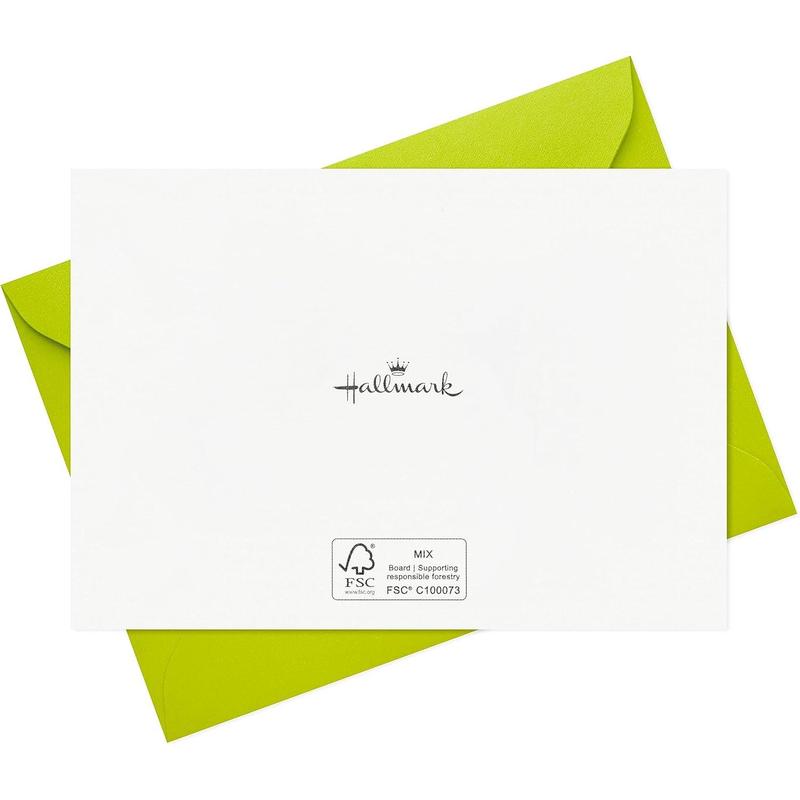 Funny Birthday Card Assortment (24 Blank Cards with Envelopes) Food Puns, Dog, Bird, Otters