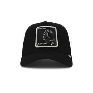 Goorin Brothers Stallion Trucker Hat in Void