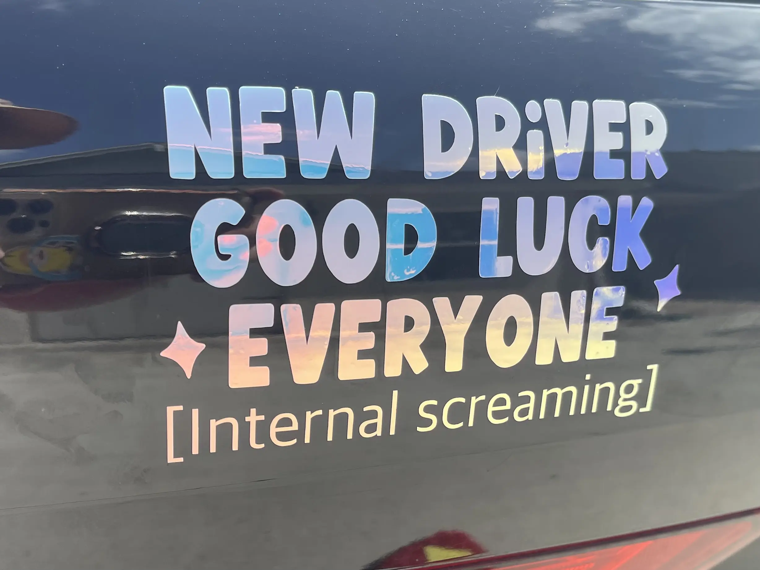 Cute Anxious Driver Vinyl Car Decal | Funny New Driver Bumper Sticker | Gen Z meme bumper decal | Nervous Student Driver Internal Screaming