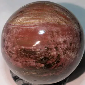 Petrified Wood Sphere
