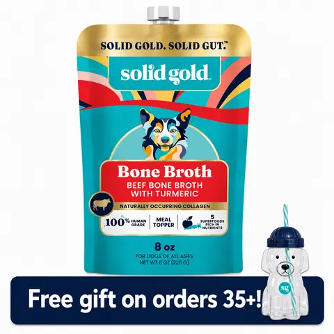 Solid Gold Bone Broth Beef Topper for Dogs - Nutrient-Rich Flavor with Turmeric for Picky Eaters - Made in USA - 12 Pouches