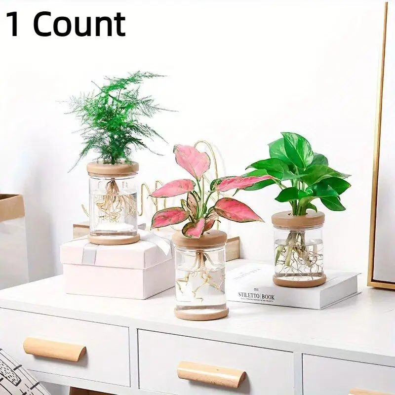 Transparent Hydroponic Flower Pot, Modern Hydroponic Flower Pot, Indoor/Outdoor Use Garden Pot & Planter for Home Office Desk