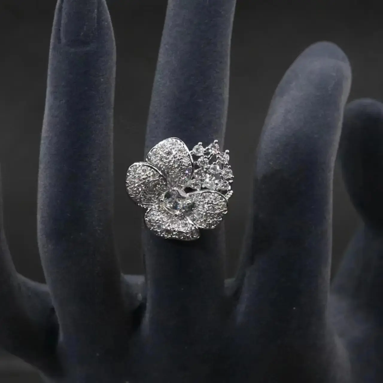 White ring on a white background