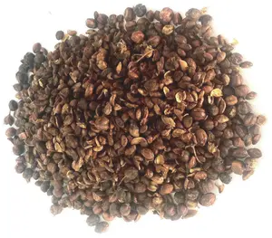 500 grams Celastrus Paniculatus Seeds Wildharvested India