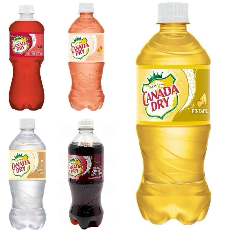 Canada Dry 5 Pack Assorted Exotic Fruit Flavored Soda Pop 20oz