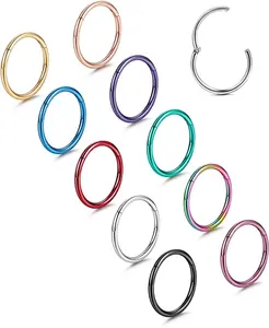 10 count Septum Nose Rings Hoops for Women Men - 16G 18G 316L Surgical Stainless Steel Hinged Clicker Lip Helix Rook Tragus Daith Conch Piercing  Cartilage Sleeper Earrings Set 8/10/12MM