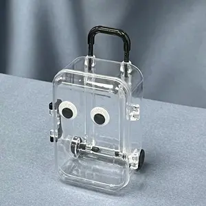Mini Ultra Small Luggage Storage Box, Retractable Wheels, Transparent Jewelry Cute Box, Portable Organizer for Travel and Home Use