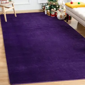 Shag Area Rug Fluffy Carpets, 5x7 Purple Washable Living Room Bedroom Rugs, Soft Fuzzy Indoor Rugs for Dorm Boys Girls  Room   Decorations