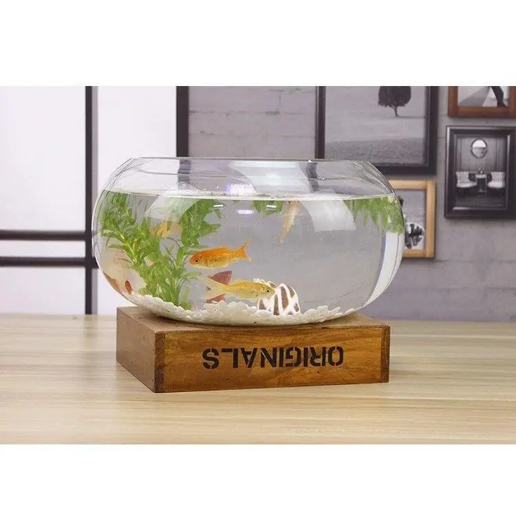 Creative Round Transparent Glass Aquarium Tank - Hydroponics Compact 20*10cm, Easy Access for Fish, Home Decor for Office Desks, Options: 20 Drum Cylinders+6-Piece Colored Stones Set, 30 Drum Cylinders+Colored Stones+Fish Food Set, Turtle Creative Round Transparent Glass Aquarium Tank - Hydroponics Compact 20*10cm, Easy Access for Fish, Home Decor for Office Desks, Options: 20 Drum Cylinders+6-Piece Colored Stones Set, 30 Drum Cylinders+Colored Stones+Fish Food Set, Turtle